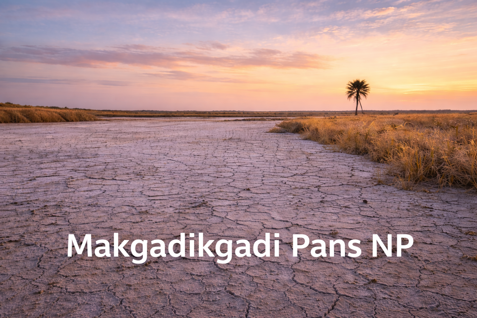 Makgadikgadi Pans NP