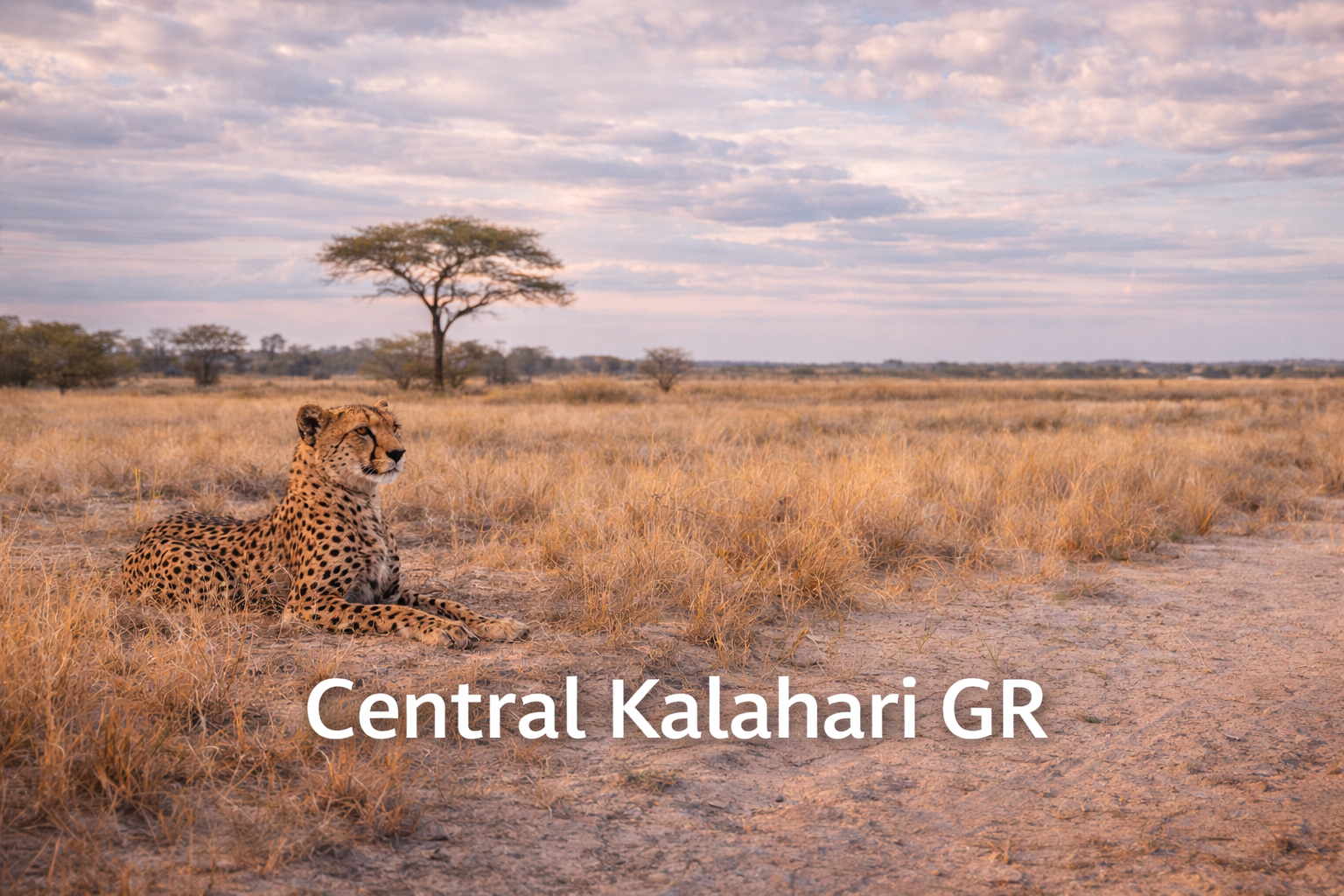 Central Kalahari GR