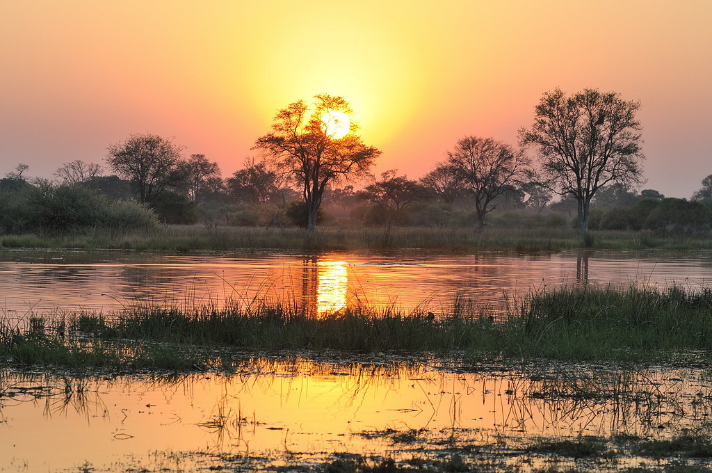 Khwai (inside reserve)