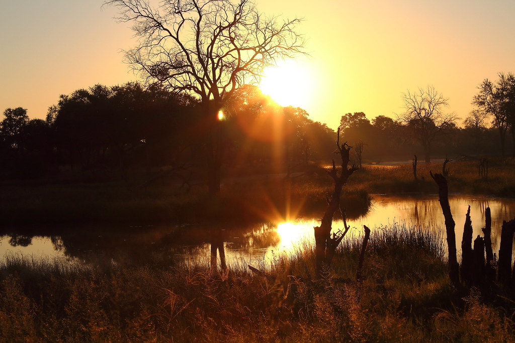 Khwai (inside reserve)