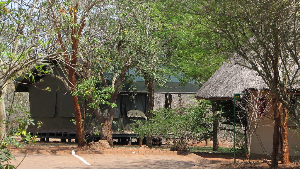 Crocodile Bridge Camp