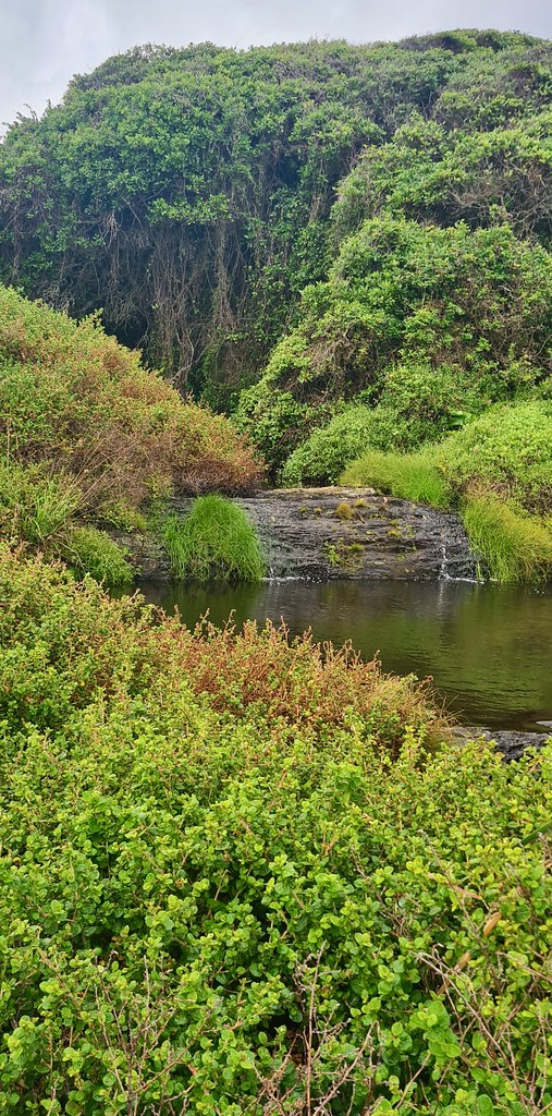 Storms River Mouth Camp