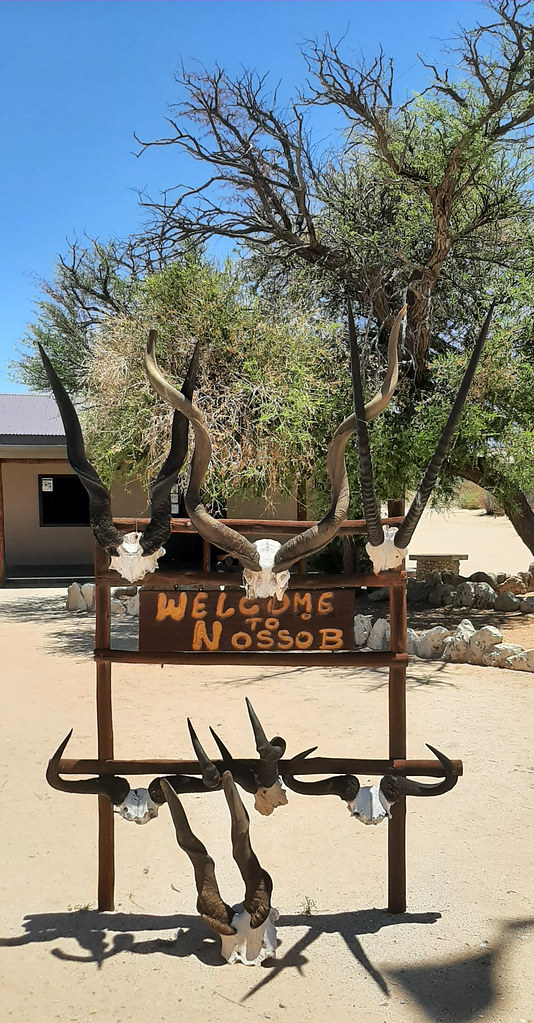 Nossob Camp