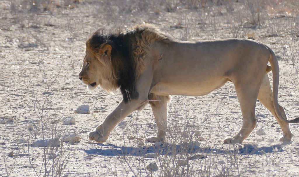 Grootkolk Wilderness Camp