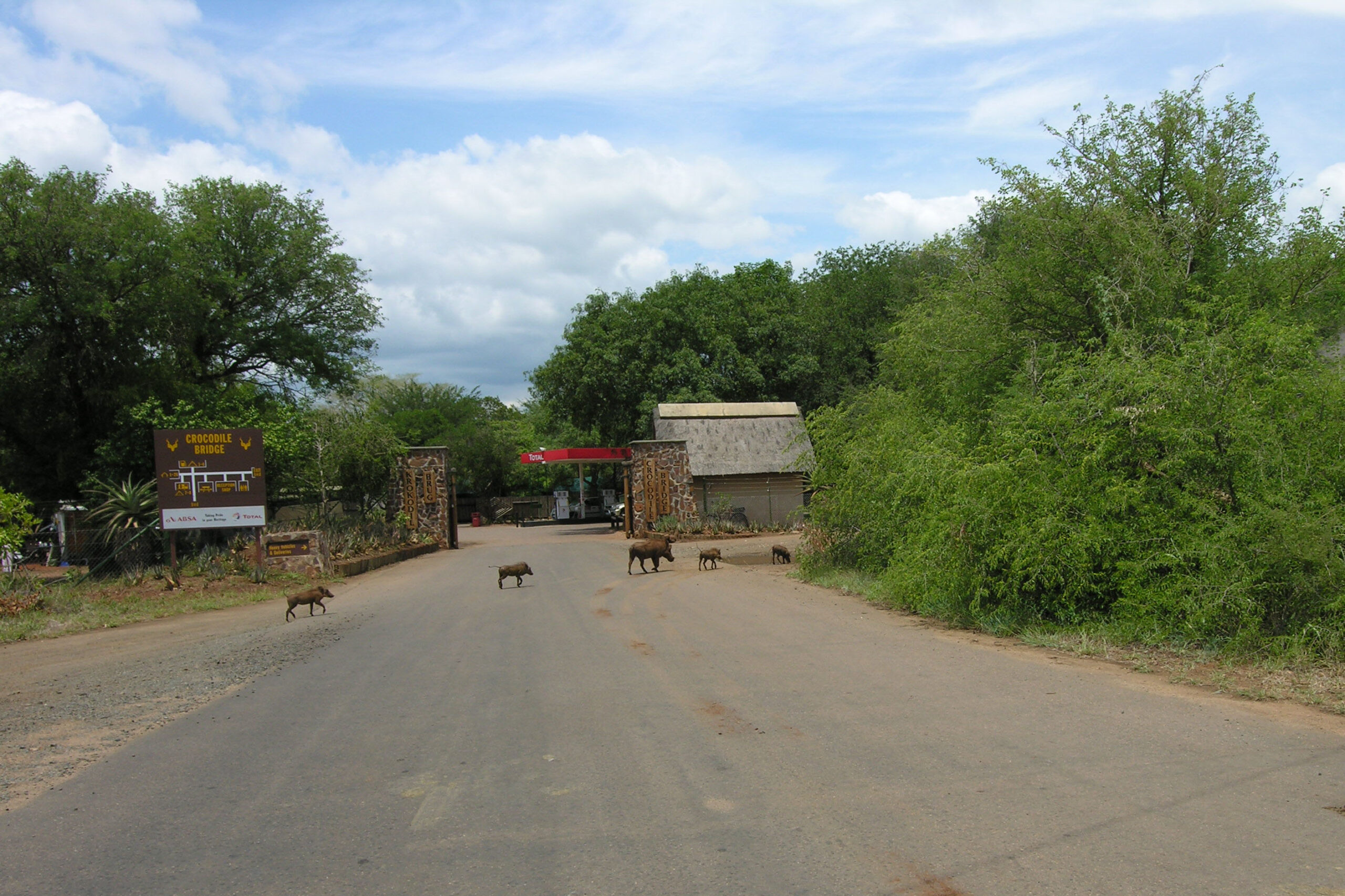 Crocodile Bridge Camp