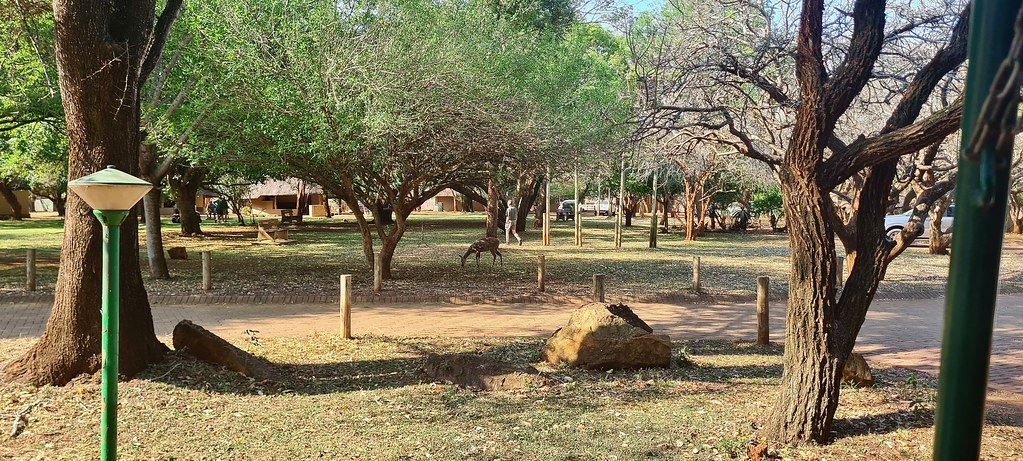 Crocodile Bridge Camp