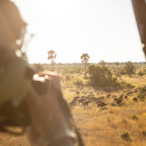 Helicopter Horizons – Okavango Delta Photogrpahy Doors Off Scenic Flight 14